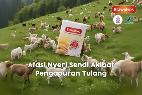 Berbagai Pilihan Cara Atasi Nyeri Sendi Akibat Pengapuran Tulang